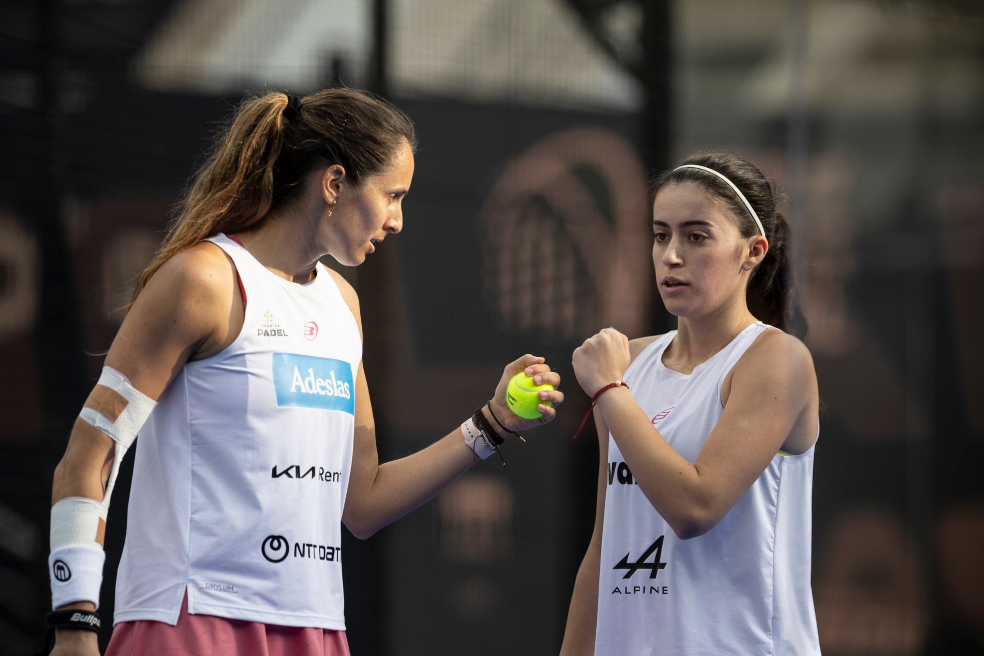 立了新的标 立了新的标